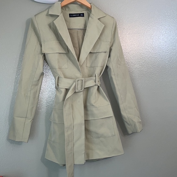 Steinway Mini Dress Green Lioness NWOT - Picture 3 of 15